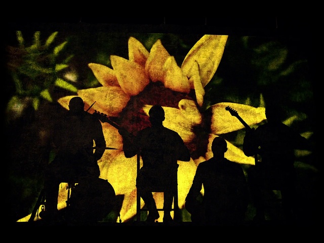 Video Reference: World, Organism, Gesture, People in nature, Tints and shades, Art, Font, Event, Rectangle, Petal