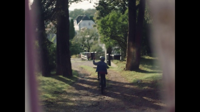 Video Reference: Plant, Tree, People in nature, Branch, Wood, Grass, Natural landscape, Trunk, Landscape, Tints and shades