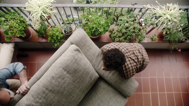 Video Reference: Plant, Comfort, Flowerpot, Botany, Flower, Leaf, Grass, Wood, Houseplant, Outdoor furniture