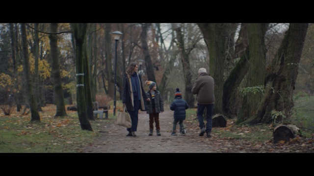 Video Reference: Plant, People in nature, Wood, Tree, Natural landscape, Grass, Carnivore, Landscape, Leisure, Trunk