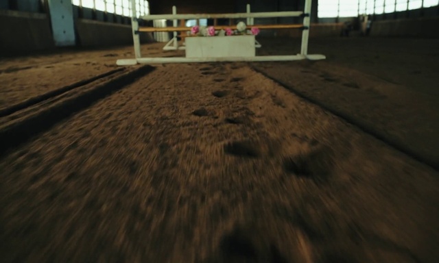 Video Reference: Sky, Road surface, Wood, Asphalt, Grass, Flooring, Hardwood, Landscape, Tints and shades, Road