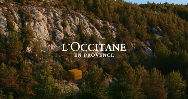 Video Reference: Plant, Plant community, Ecoregion, Mountain, Natural landscape, Highland, Tree, Terrain, Larch, Grass