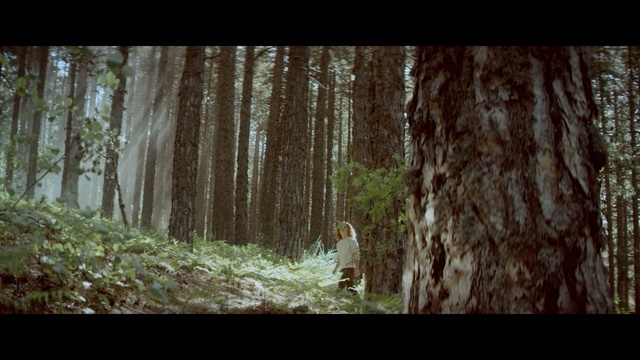 Video Reference: Plant, Tree, Natural landscape, Wood, Terrestrial plant, Trunk, People in nature, Grass, Landscape, Tints and shades