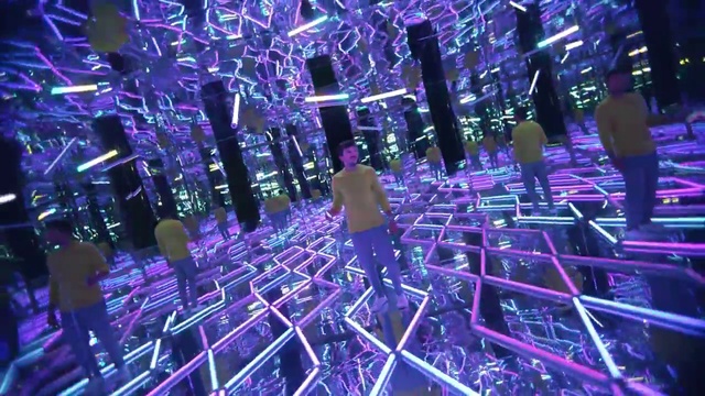 Video Reference: Plant, Purple, Blue, Entertainment, Violet, Electricity, Tree, Leisure, Music, Landmark