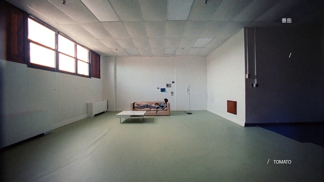 Video Reference: Window, Fixture, Building, Interior design, Hall, Floor, Flooring, Wood, House, Space