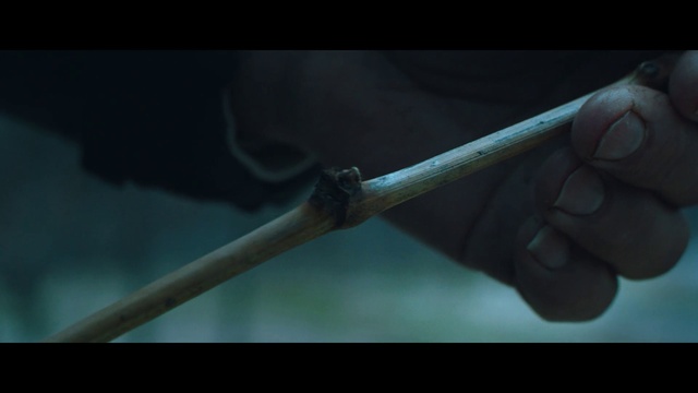 Video Reference: Plant, Gesture, Water, Terrestrial plant, Twig, Electric blue, Tool, Macro photography, Thumb, Darkness