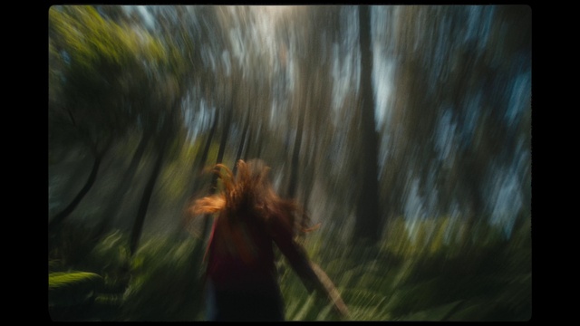Video Reference: People in nature, Plant, Flash photography, Wood, Branch, Natural landscape, Terrestrial plant, Happy, Landscape, Grass
