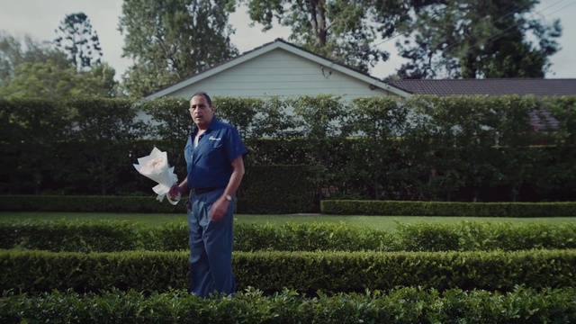 Video Reference: Plant, Building, Tree, House, Land lot, People in nature, Sky, Grass, Shrub, Rural area