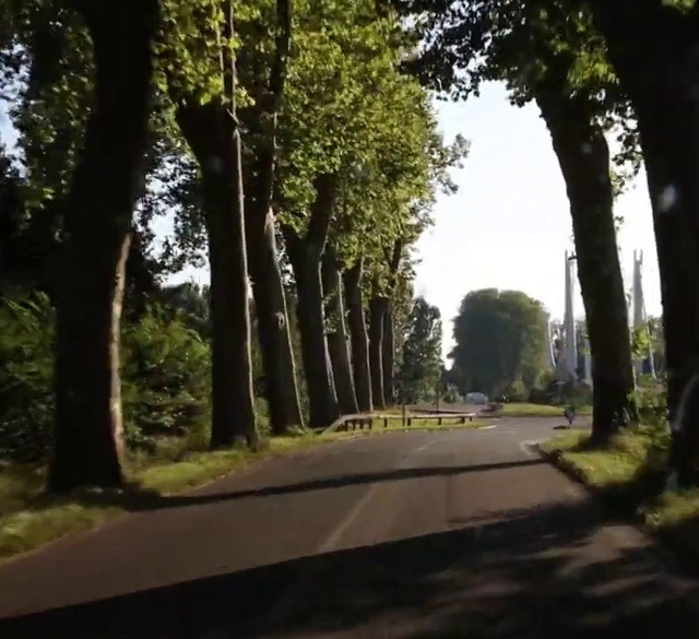 Video Reference: Plant, Sky, Tree, Road surface, Shade, Branch, Asphalt, Natural landscape, Thoroughfare, Wood
