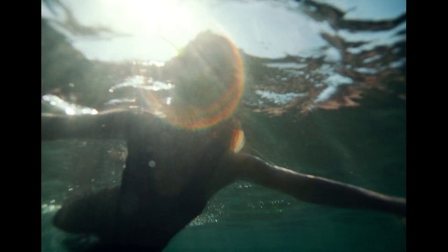Video Reference: Water, Fin, Underwater, Sunlight, Shark, Marine biology, Fish, Cartilaginous fish, Marine mammal, Lens flare