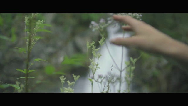 Video Reference: Hand, Plant, Gesture, Terrestrial plant, Twig, Grass, Finger, Flowering plant, Petal, Flower
