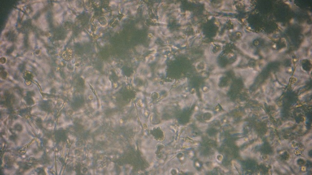 Video Reference: Water, Liquid, Pattern, Soil, Natural material, Metal, Transparent material, Grass, Rock, Darkness