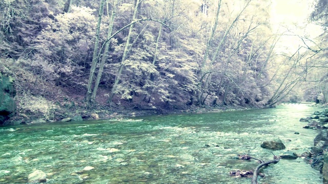 Video Reference: Water, Plant, Fluvial landforms of streams, Natural landscape, Branch, Lake, Tree, Watercourse, Bank, Riparian zone