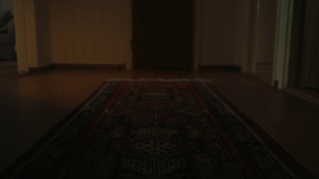 Video Reference: Brown, Wood, Grey, Flooring, Floor, Rectangle, Wood stain, Hardwood, Tints and shades, Symmetry