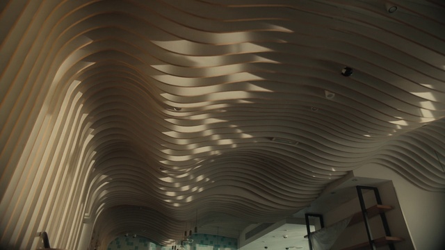 Video Reference: Material property, Composite material, Shade, Tints and shades, Symmetry, Art, Pattern, Ceiling, Space, City