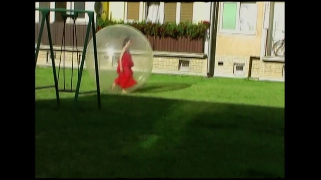 Video Reference: Plant, Window, Green, Shade, Building, Grass, Rectangle, Tints and shades, Leisure, Lawn