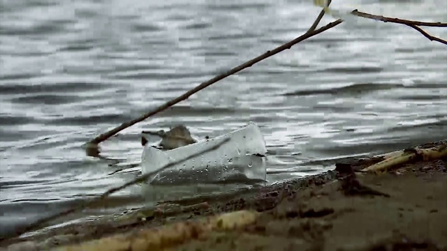 Video Reference: Water, Liquid, Wood, Twig, Lake, Grass, Boats and boating--Equipment and supplies, Flooring, Soil, Reflection