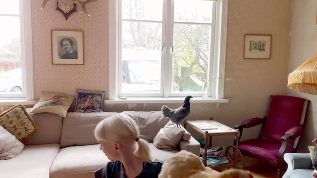 Video Reference: Window, Picture frame, Furniture, Couch, Comfort, Wood, Flooring, Interior design, Floor, Hardwood