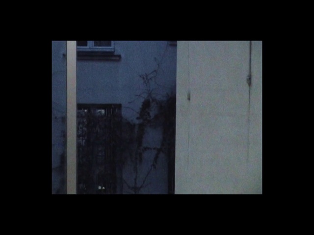 Video Reference: Window, Fixture, Twig, Rectangle, Plant, Tints and shades, Tree, Wood, Darkness, Door