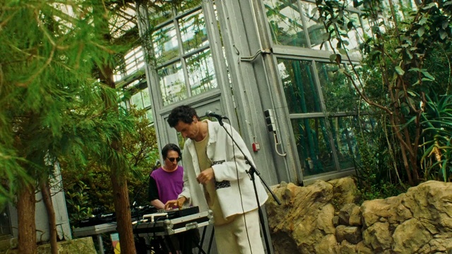 Video Reference: Plant, Botany, Wood, Building, Leisure, Porch, Tree, T-shirt, Event, Ladder