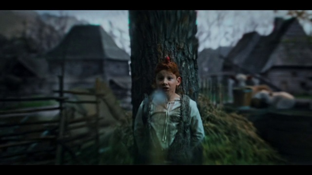 Video Reference: Flash photography, Plant, Toy, Grass, Wood, Doll, Tree, Cg artwork, Forest, Darkness