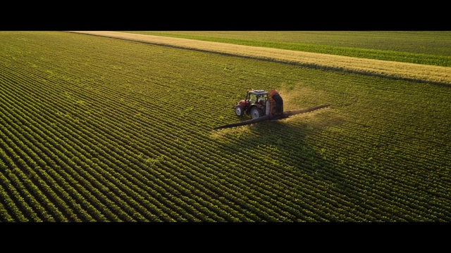 Video Reference: Tire, Vehicle, Automotive tire, Asphalt, Plant, Grass, Road surface, Flooring, Rolling, Wood