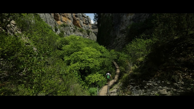 Video Reference: Plant, Natural landscape, Bedrock, Terrestrial plant, Watercourse, Terrain, Mountain, Formation, Tree, Grass