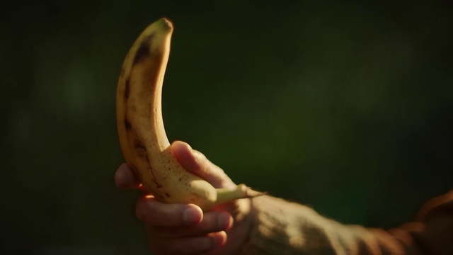 Video Reference: Tableware, Gesture, Finger, Wood, Flash photography, Thumb, Nail, Terrestrial plant, Twig, Wrist