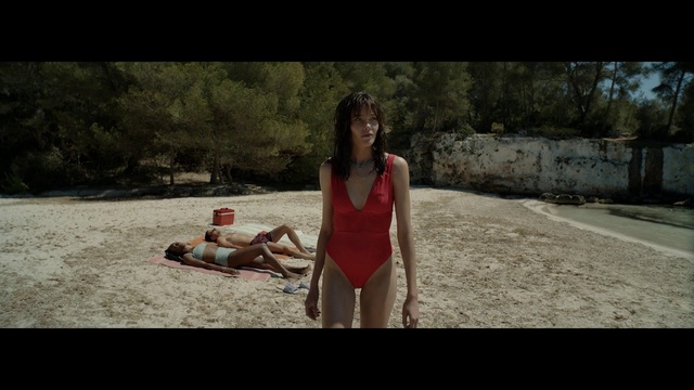 Video Reference: Plant, People in nature, Flash photography, Tree, Wood, Grass, Fawn, Happy, Thigh, Leisure