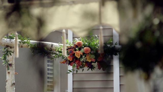 Video Reference: Flower, Plant, Flowerpot, Window, Petal, Houseplant, Twig, Wood, Flower Arranging, Artificial flower