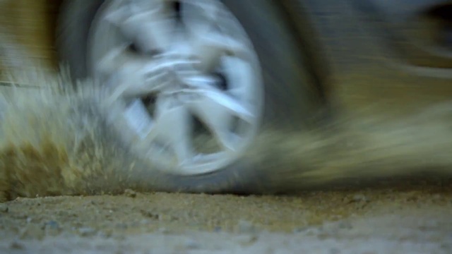 Video Reference: Eye, Automotive tire, Wood, Tire, Rim, Automotive wheel system, Snout, Wrinkle, Whiskers, Felidae