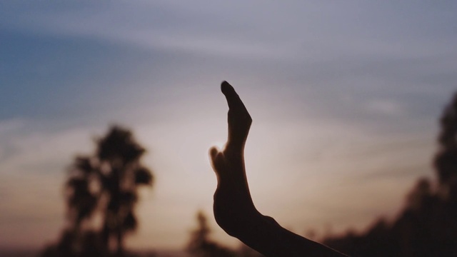Video Reference: Sky, Hand, Cloud, Atmosphere, People in nature, Branch, Gesture, Happy, Dusk, Sunset