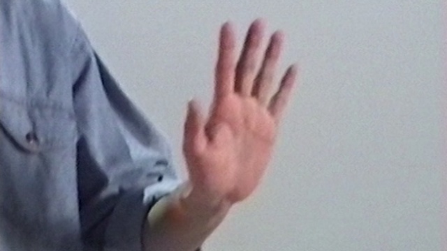 Video Reference: Sleeve, Gesture, Finger, Thumb, Wrist, Nail, Sign language, Electric blue, Nerve, Balance