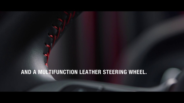 Video Reference: Plant, Terrestrial plant, Font, Petal, Flash photography, Magenta, Darkness, Logo, Photo caption, Macro photography