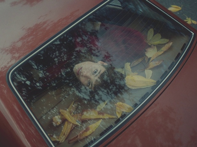 Video Reference: Hood, Automotive lighting, Automotive exterior, Motor vehicle, Art, Vehicle door, Glass, Bumper, Painting, Windshield