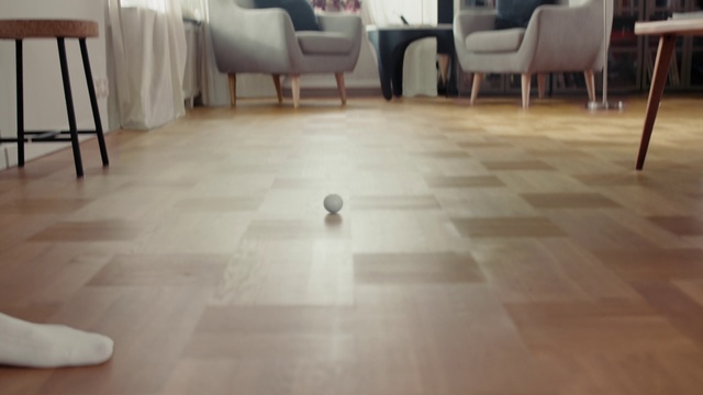 Video Reference: Wood, Chair, Flooring, Ball, Floor, Living room, Tile flooring, Hardwood, Laminate flooring, Event