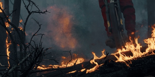Video Reference: Atmosphere, Sky, Wood, Fire, Vegetation, Tree, Flame, Biome, Atmospheric phenomenon, Hazard