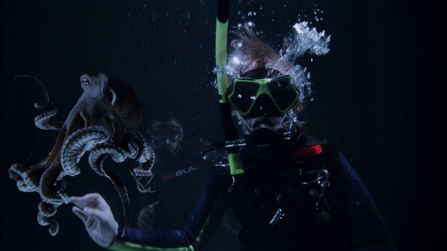 Video Reference: Organism, Art, Water, Astronomical object, Liquid, Science, Cg artwork, Space, Electric blue, Darkness