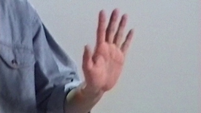 Video Reference: Sleeve, Gesture, Finger, Thumb, Wrist, Nail, Sign language, Electric blue, Balance, Flesh