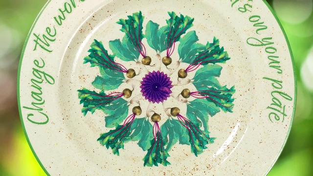 Video Reference: Flower, Dishware, Tableware, Plant, Petal, Creative arts, Serveware, Circle, Symmetry, Cuisine