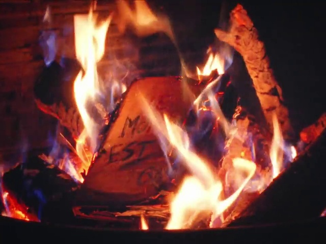 Video Reference: Muscle, Flame, Fire, Bonfire, Wood, Heat, Fireplace, Gas, Event, Campfire