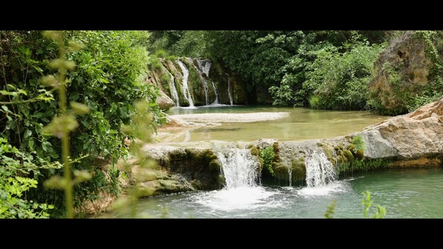 Video Reference: Water, Water resources, Plant, Ecoregion, Natural landscape, Fluvial landforms of streams, Waterfall, Spring, Terrestrial plant, Watercourse