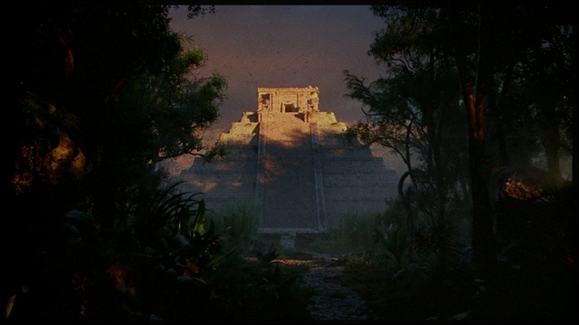 Video Reference: Atmosphere, Plant, Building, Window, Sky, Branch, Sunlight, Atmospheric phenomenon, Natural landscape, Tree