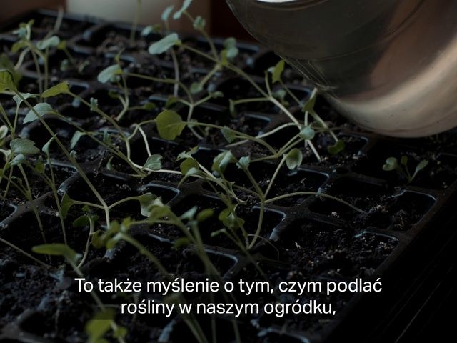 Video Reference: Plant, Houseplant, Terrestrial plant, Gas, Automotive tire, Grass, Soil, Metal, Flowerpot, Event