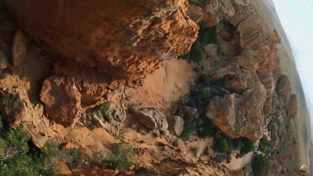 Video Reference: Bedrock, Terrain, Plant, Wood, Mountainous landforms, Landscape, Formation, Outcrop, Mountain, Fault