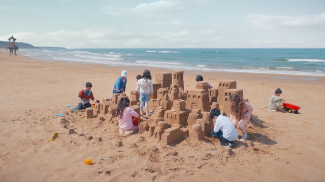Video Reference: Sky, Cloud, Water, People on beach, Vertebrate, Beach, Shorts, Coastal and oceanic landforms, Travel, Leisure