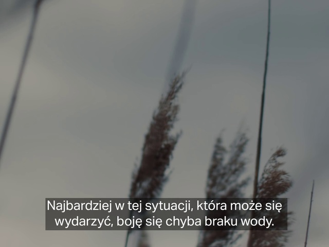 Video Reference: Sky, Terrestrial plant, Twig, Font, Plant, Wind, Landscape, Wood, Slope, Metal