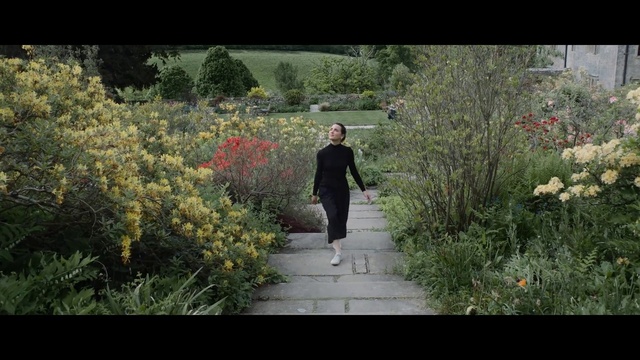 Video Reference: Flower, Plant, Plant community, Ecoregion, People in nature, Natural landscape, Natural environment, Tree, Grass, Shrub