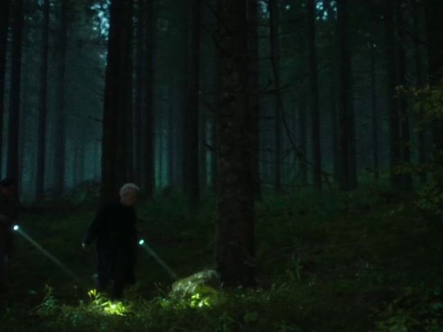 Video Reference: Plant, Natural landscape, Tree, Terrestrial plant, Wood, People in nature, Grass, Trunk, Landscape, Forest