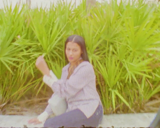 Video Reference: Plant, People in nature, Botany, Happy, Vegetation, Grass, Terrestrial plant, Leisure, Grassland, Landscape